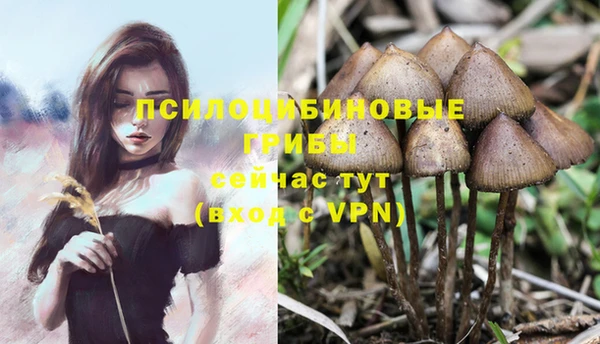 экстази Покровск