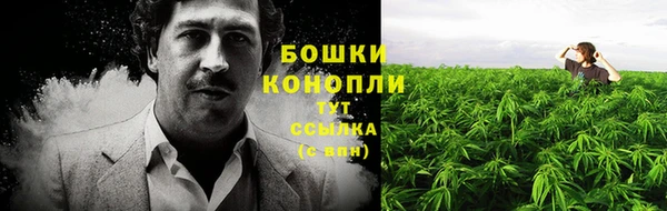 спиды Покачи